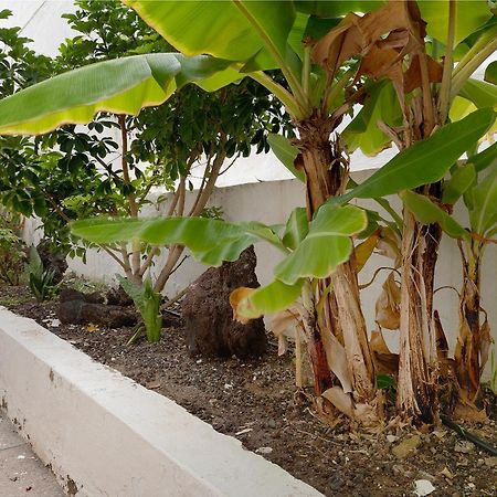San AgustínPippa'S Houseアパートメント エクステリア 写真